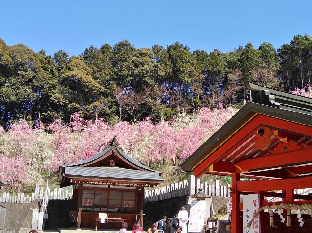 ⛩️ 오아가타 신사 이미지 8